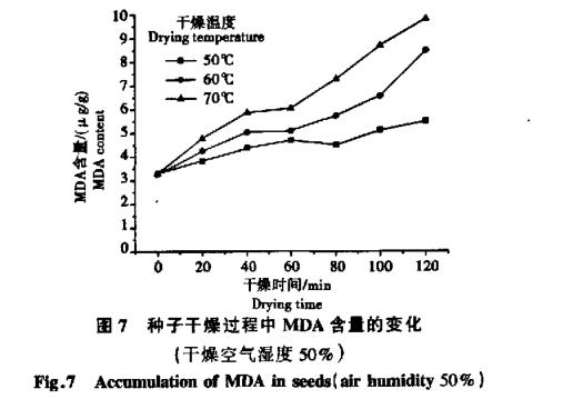 高溫干燥條件對白菜生命破壞試驗(yàn)